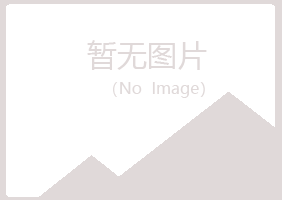 安丘山柏建筑有限公司